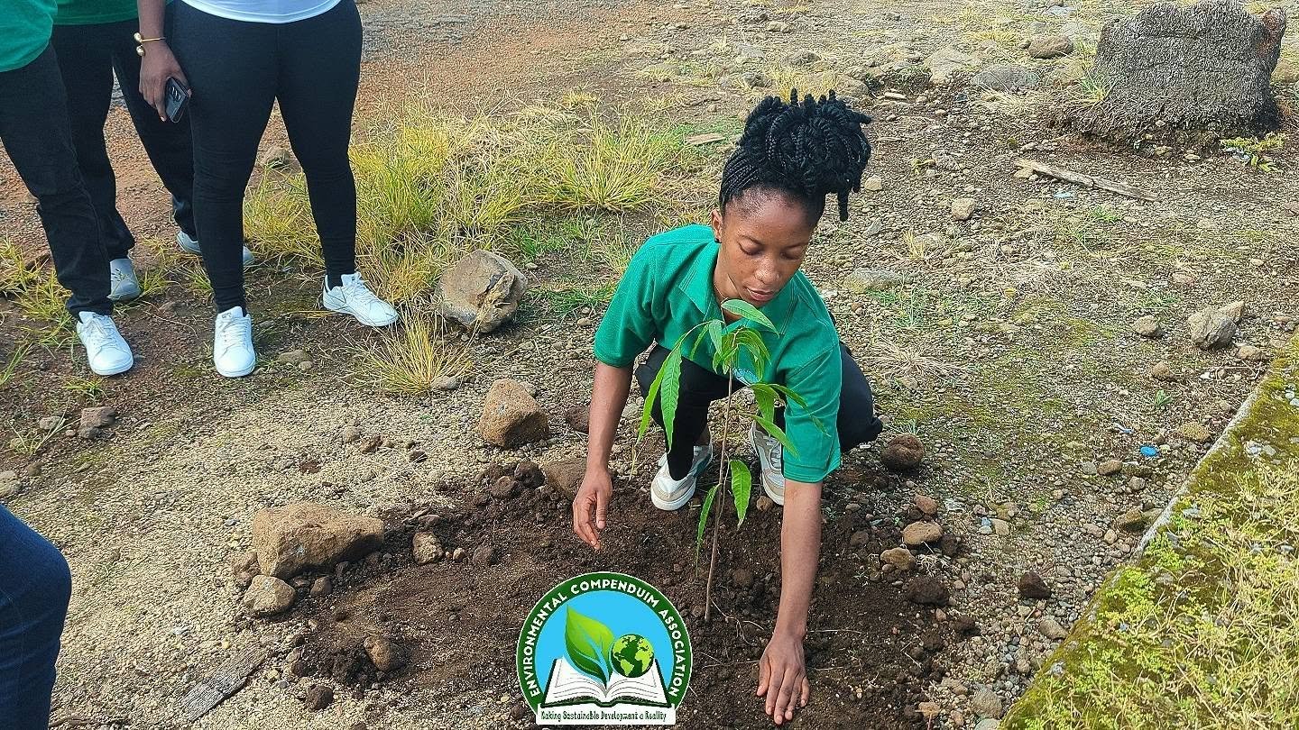 environmental NGO Cameroon | environmental organization