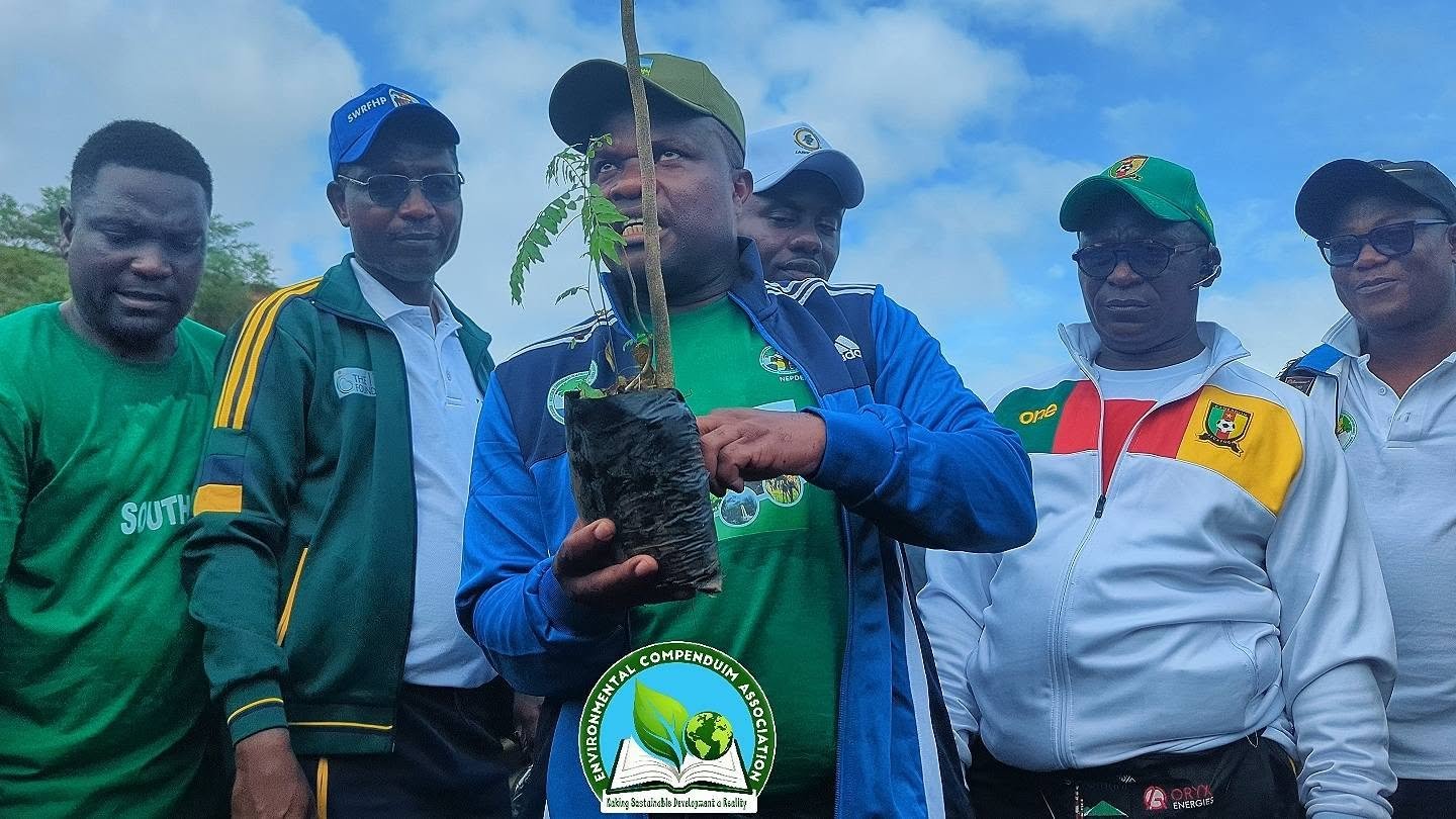 environmental NGO Cameroon | environmental organization