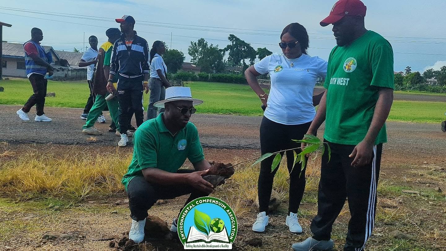 environmental NGO Cameroon | environmental organization
