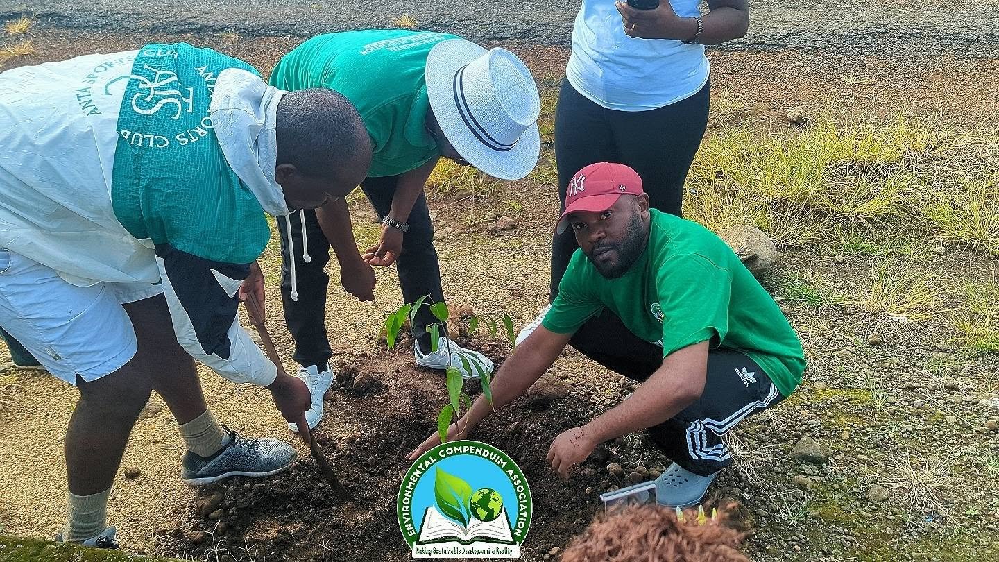 environmental NGO Cameroon | environmental organization