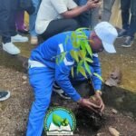 environmental NGO Cameroon | environmental organization