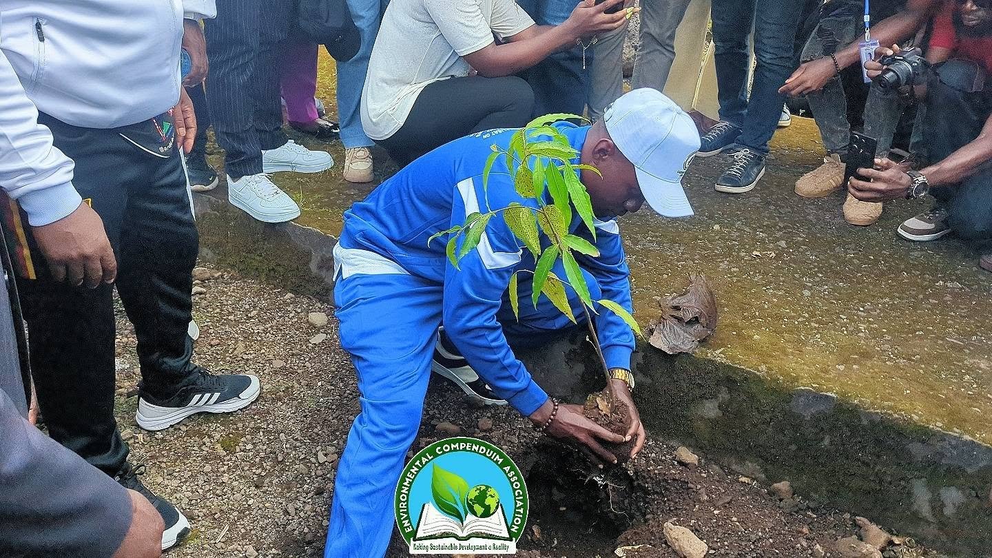 environmental NGO Cameroon | environmental organization